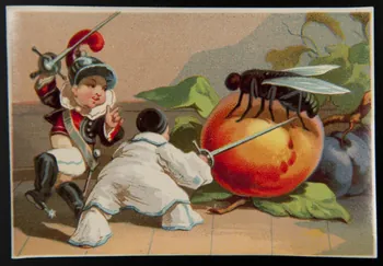 Testu & Massin carte réclame chromo Paris 1876-1903 1995.1.2857.3 Photo