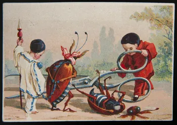 Testu & Massin carte réclame chromo Paris 1876-1903 1995.1.2857.6  Photo