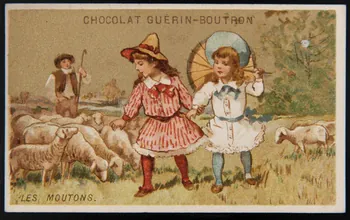 Testu & Massin ; Testu & Massin et F. Champenois & Cie carte réclame chromo Paris 1888-1889 1995.1.2868.5 Photo