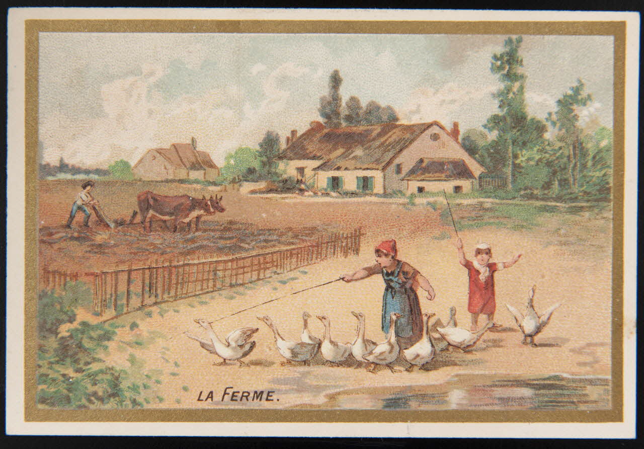 Testu & Massin carte réclame chromo Paris 1876-1903 1995.1.2869.2 Photo