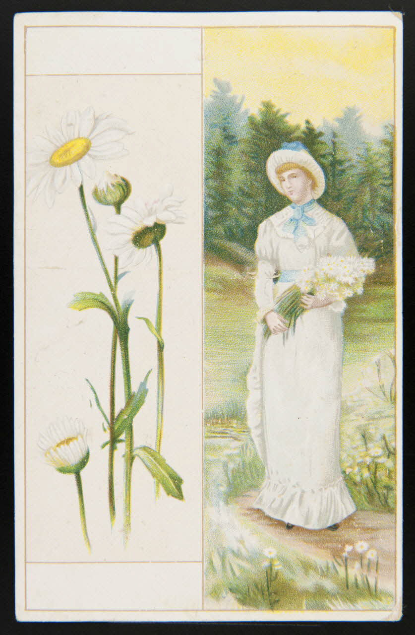 Gombert carte réclame chromo Paris 1890-1914 1995.1.2902.3 Photo