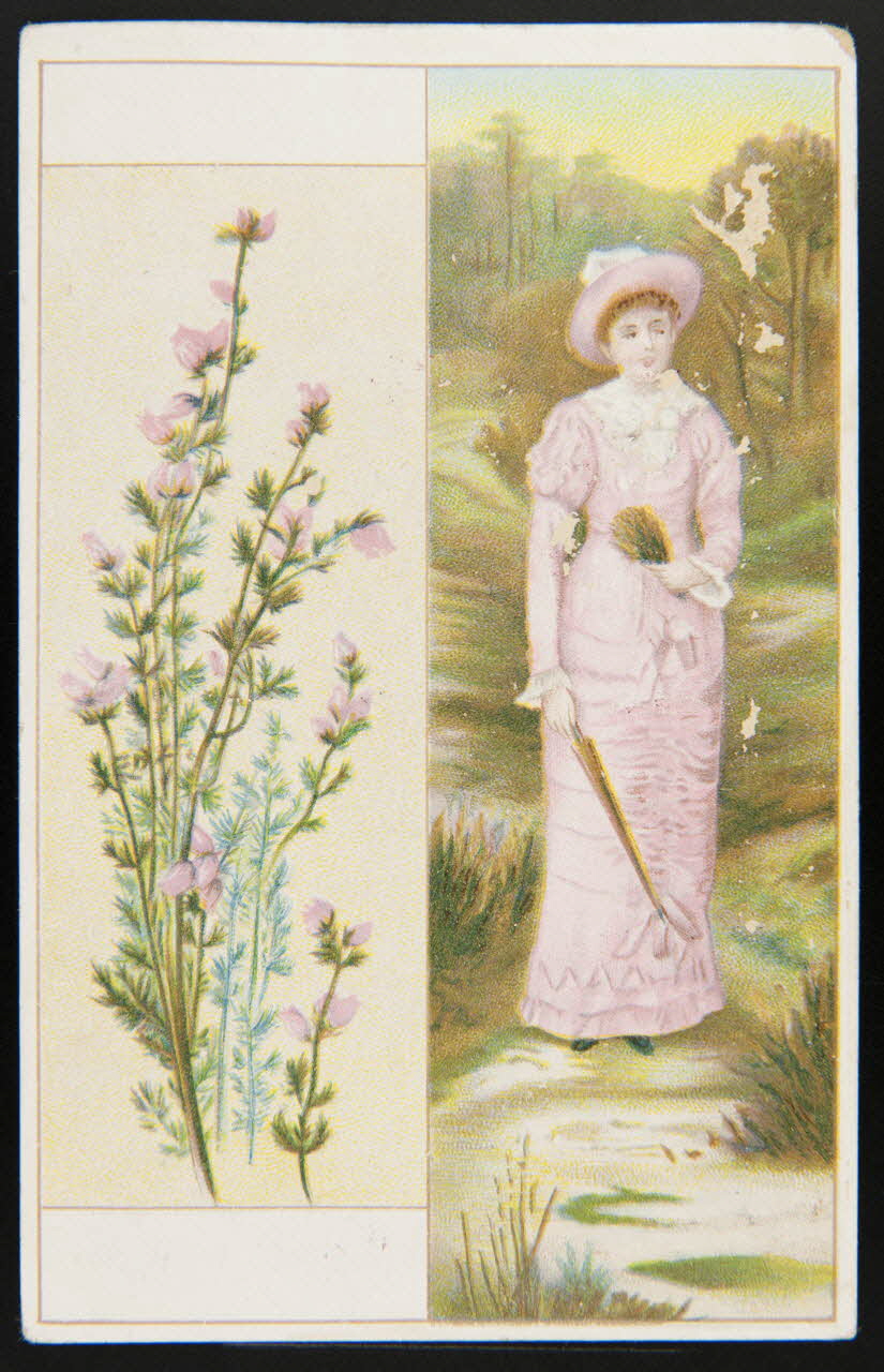 Gombert carte réclame chromo Paris 1890-1914 1995.1.2902.4 Photo