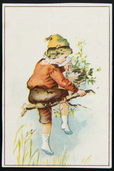 Gombert carte réclame chromo Paris 1890-1914 1995.1.2904.1 Photo