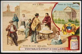 Liebig carte réclame chromo 1908 1995.1.2957.2 Photo