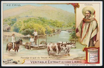 Liebig carte réclame chromo 1908 1995.1.2957.6 Photo