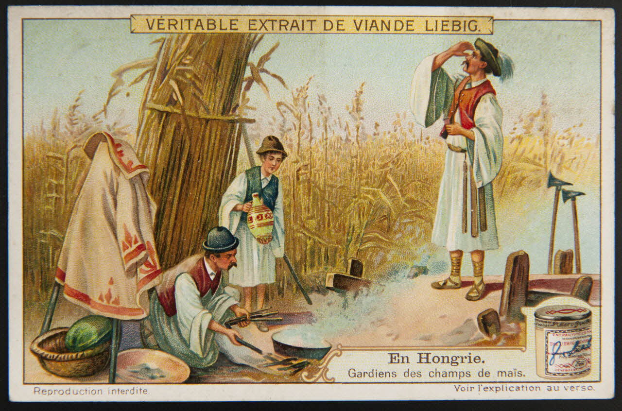 Liebig carte réclame chromo 1911 1995.1.2958.2 Photo