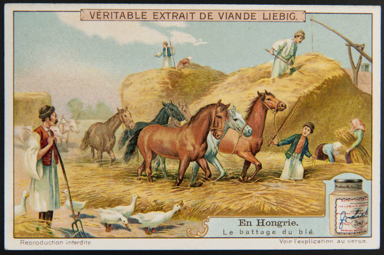 Liebig carte réclame chromo 1911 1995.1.2958.3 Photo