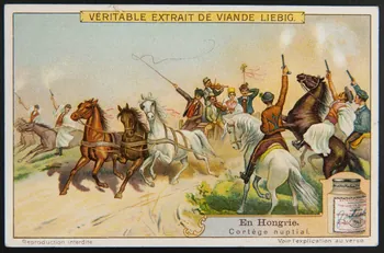 Liebig carte réclame chromo 1911 1995.1.2958.4 Photo