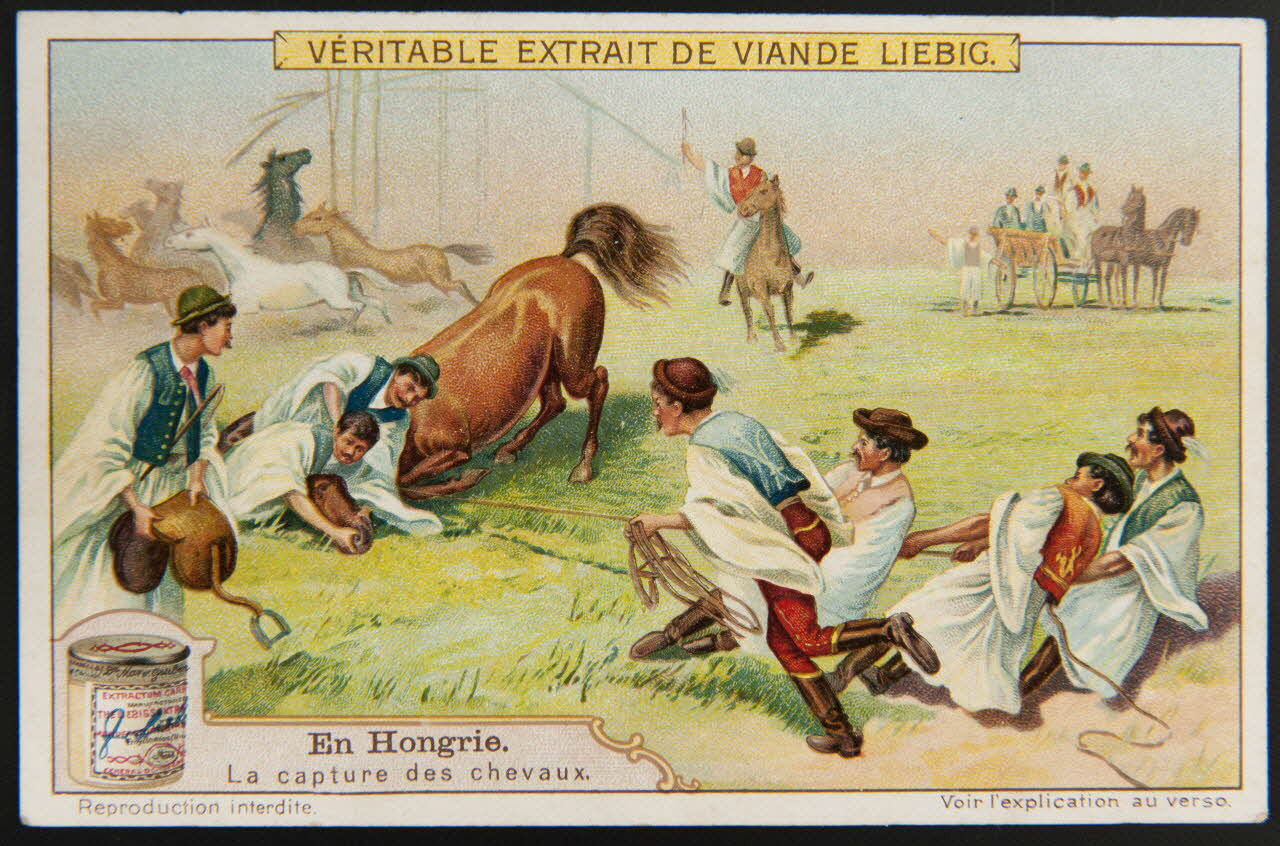 Liebig carte réclame chromo 1911 1995.1.2958.5 Photo