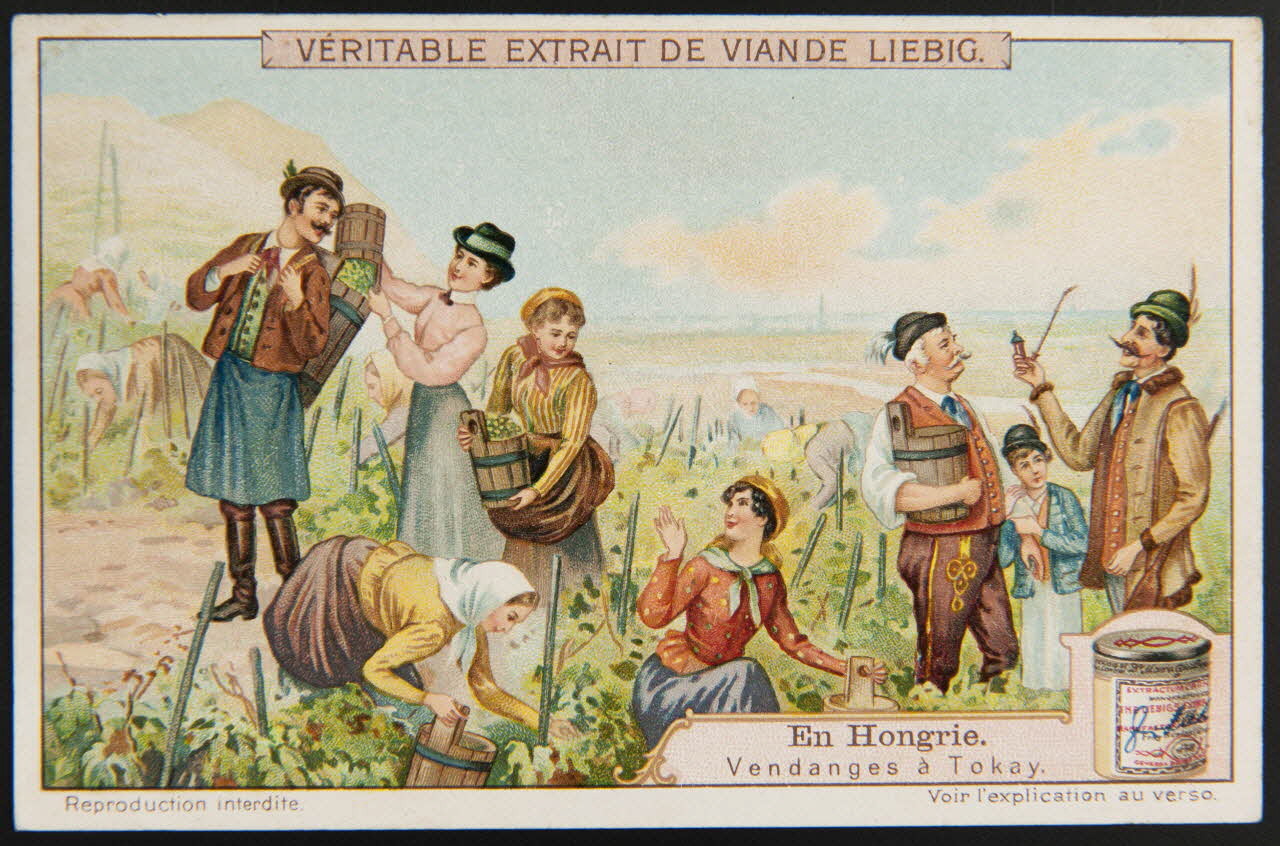 Liebig carte réclame chromo 1911 1995.1.2958.6 Photo