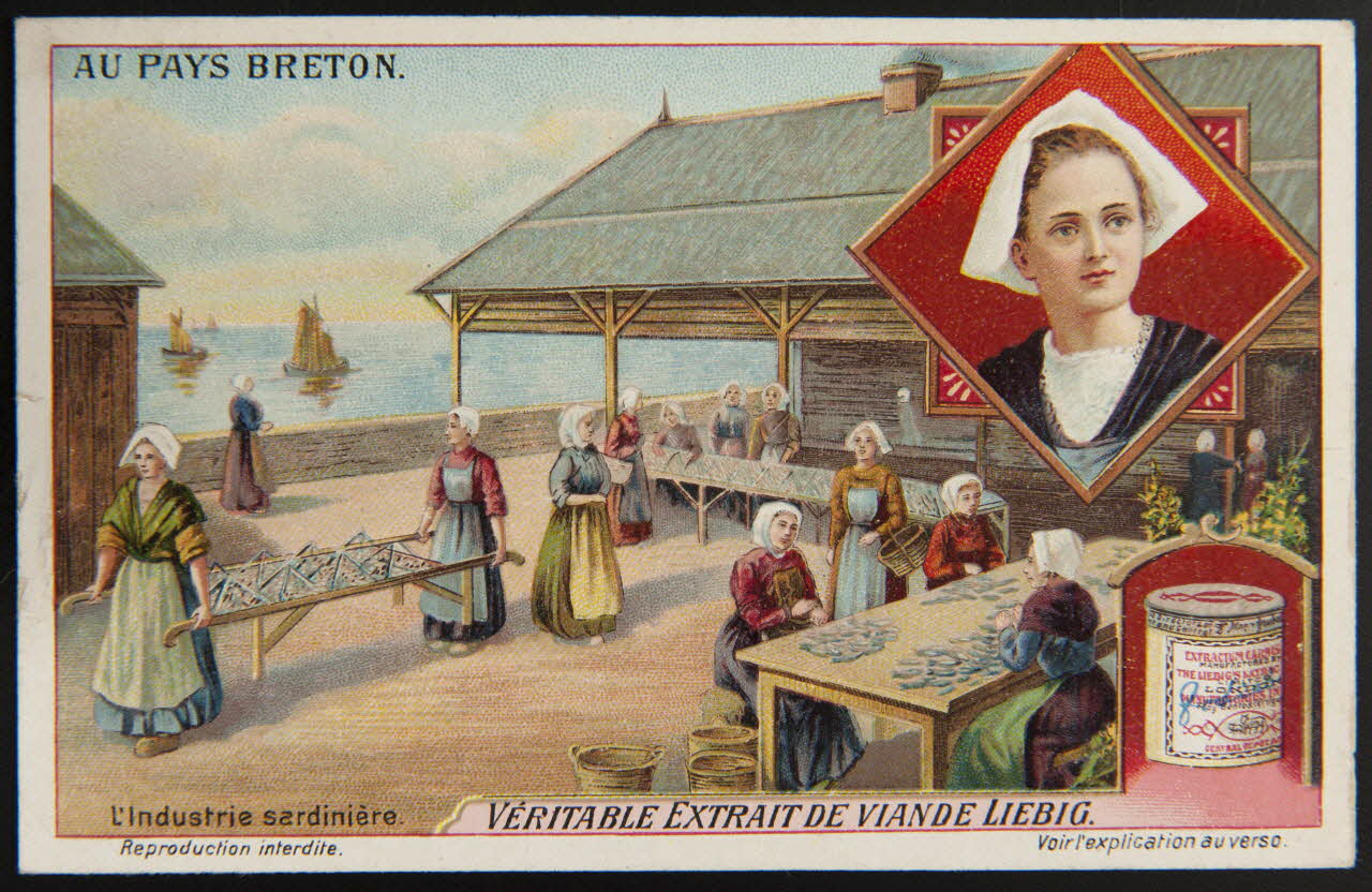 Liebig carte réclame chromo 1912 1995.1.2960.3 Photo