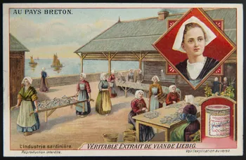 Liebig carte réclame chromo 1912 1995.1.2960.3 Photo