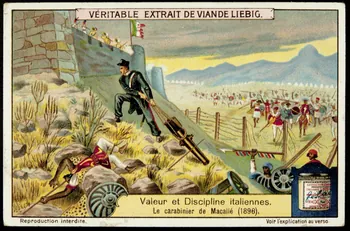 Liebig carte réclame chromo 1913 1995.1.2963.3 Photo