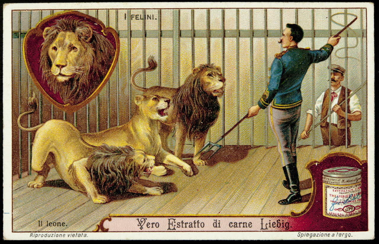 Liebig carte réclame chromo 1913 1995.1.2965.1 Photo