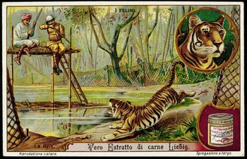 Liebig carte réclame chromo 1913 1995.1.2965.2 Photo