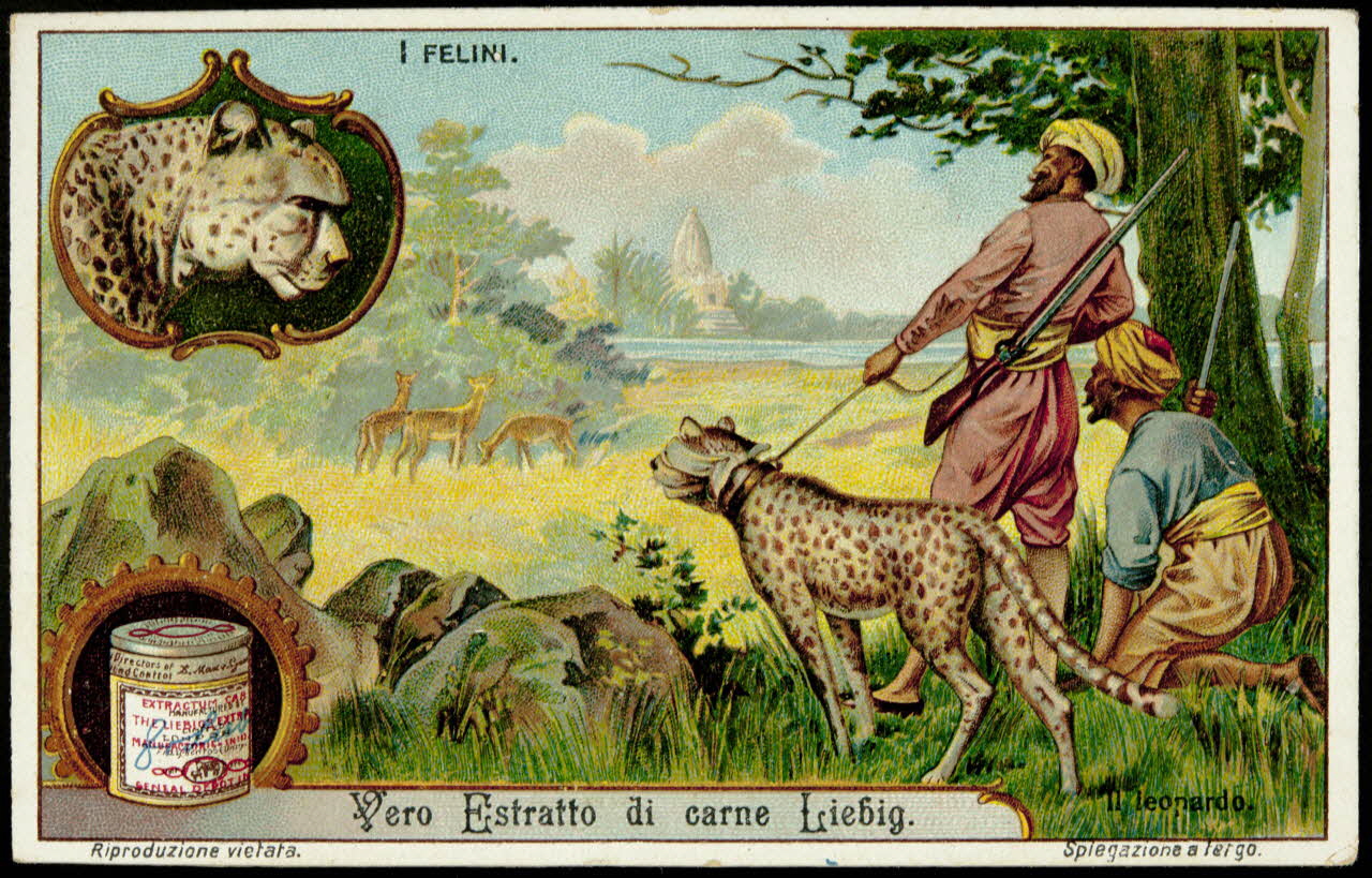Liebig carte réclame chromo 1913 1995.1.2965.3 Photo