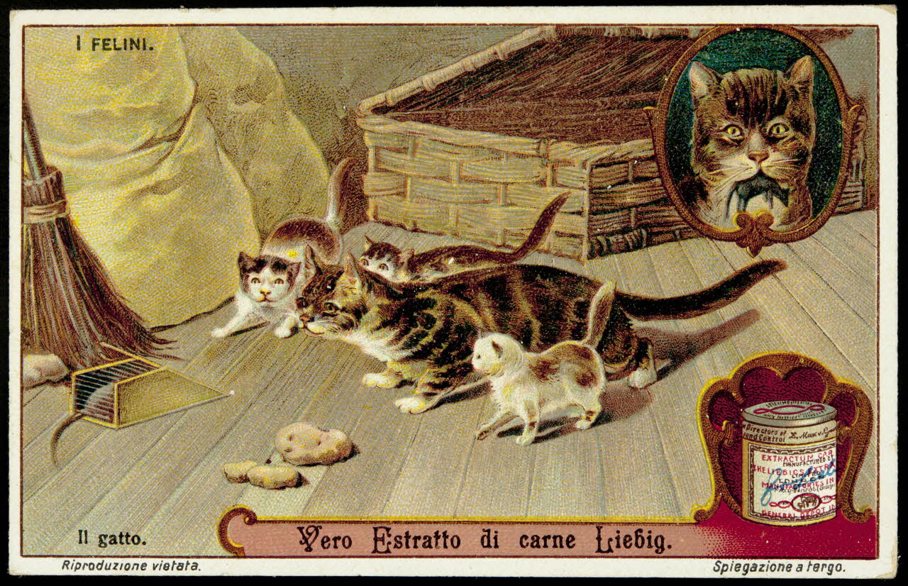 Liebig carte réclame chromo 1913 1995.1.2965.6 Photo