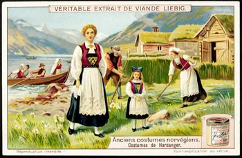 Liebig carte réclame chromo 1912 1995.1.2966.5 Photo