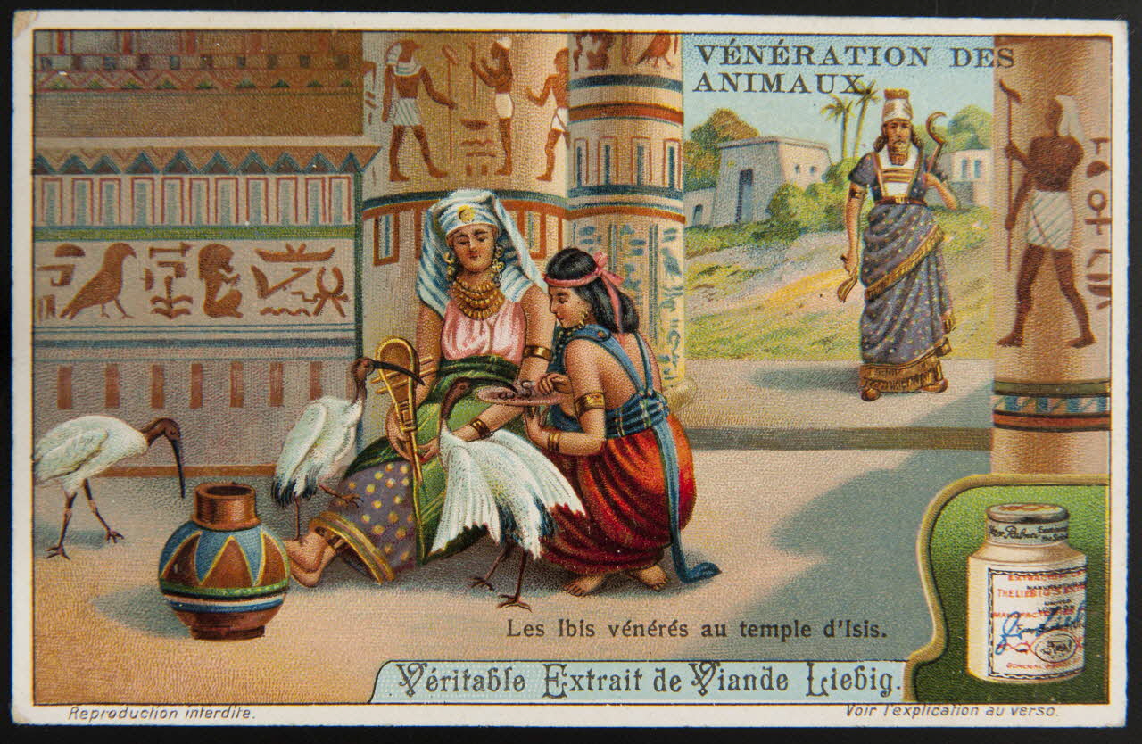 Liebig carte réclame chromo 1912 1995.1.2973.2 Photo