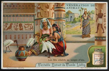 Liebig carte réclame chromo 1912 1995.1.2973.2 Photo