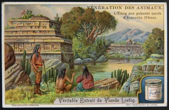 Liebig carte réclame chromo 1912 1995.1.2973.6 Photo