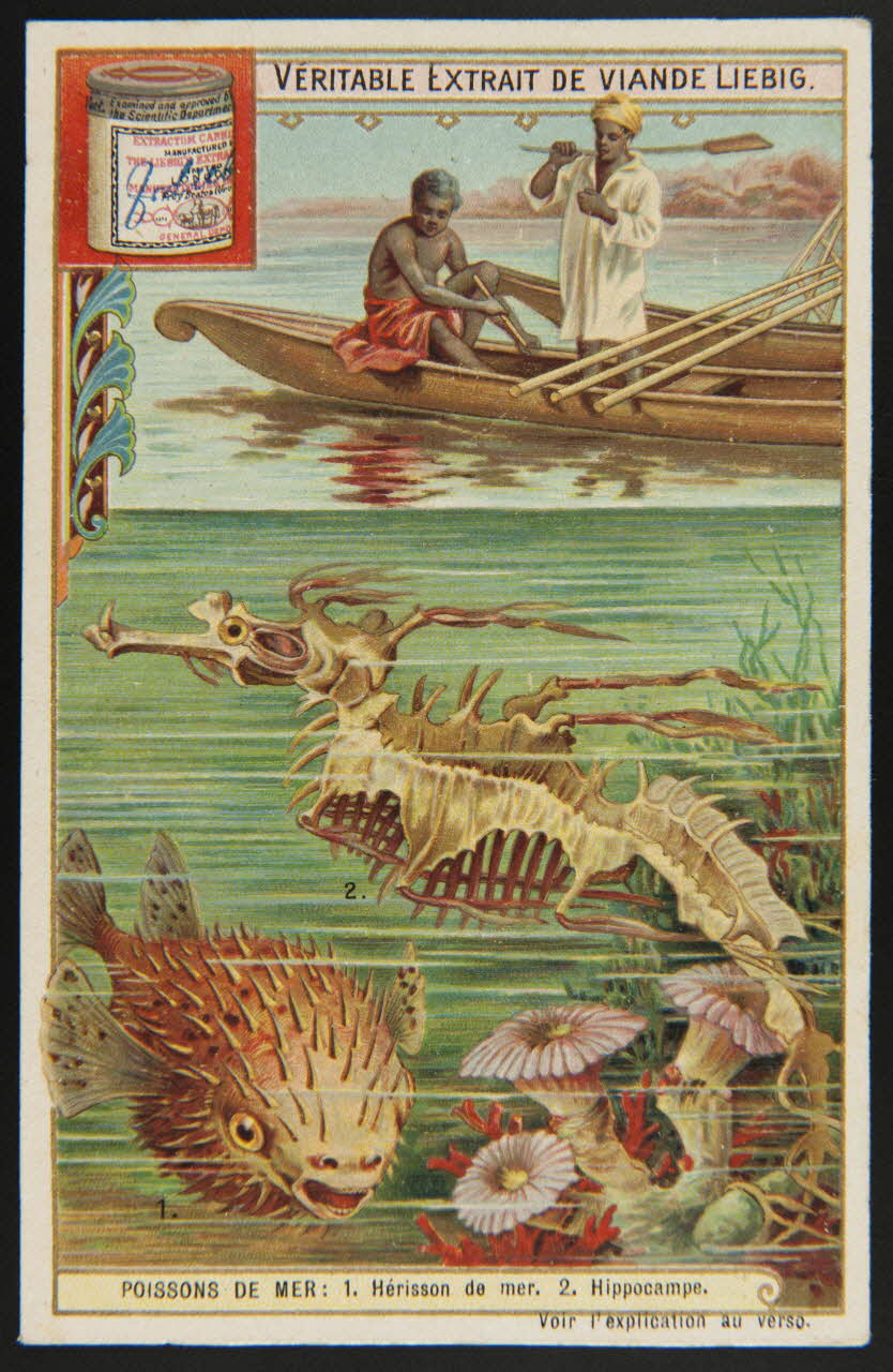 Liebig carte réclame chromo 1903 1995.1.2974.1 Photo