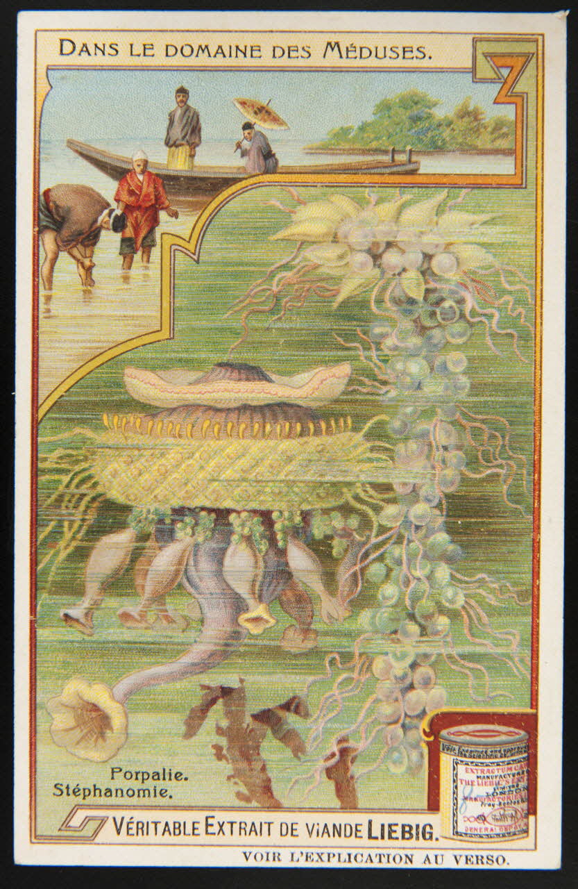 Liebig carte réclame chromo 1908 1995.1.2975.2 Photo