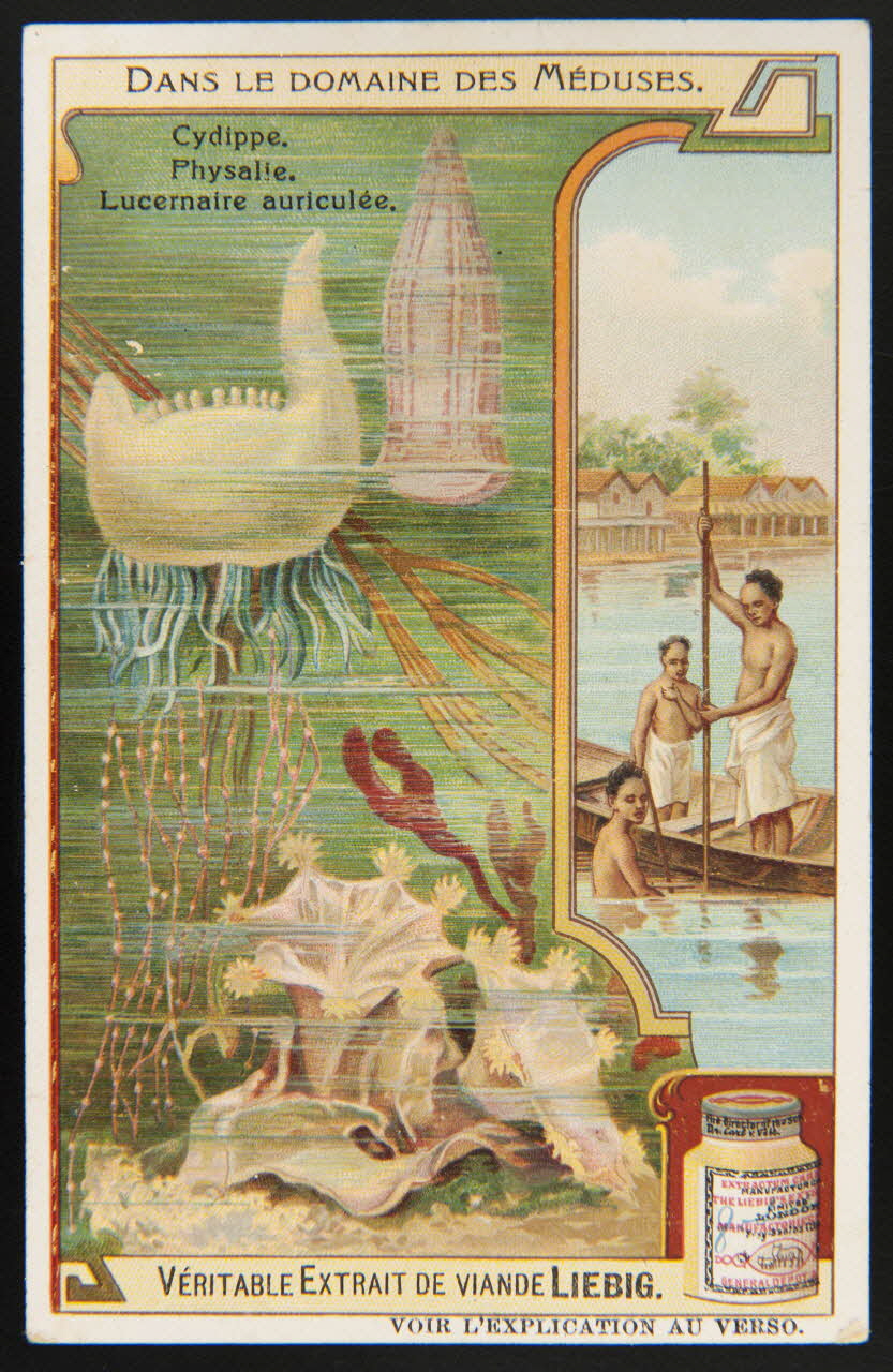 Liebig carte réclame chromo 1908 1995.1.2975.3 Photo