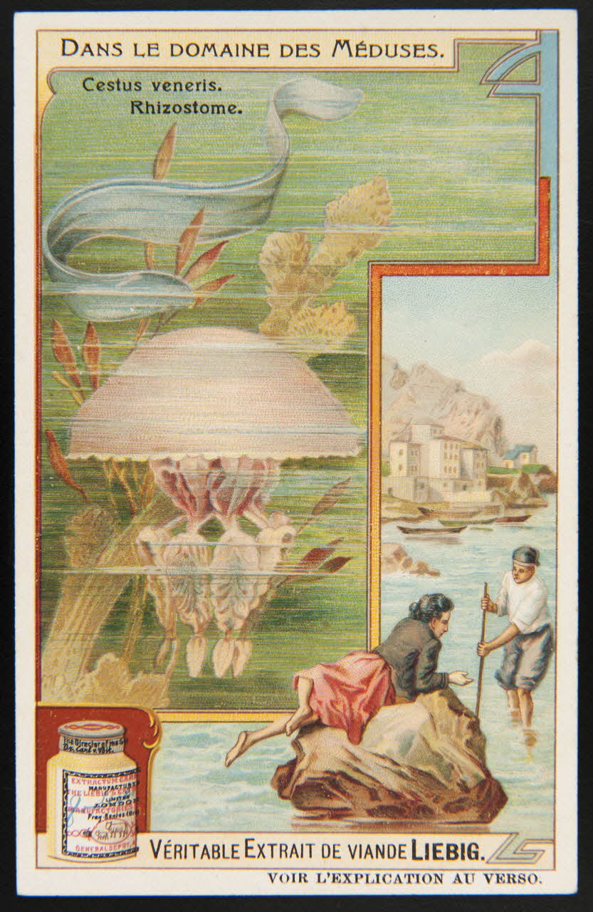 Liebig carte réclame chromo 1908 1995.1.2975.4 Photo