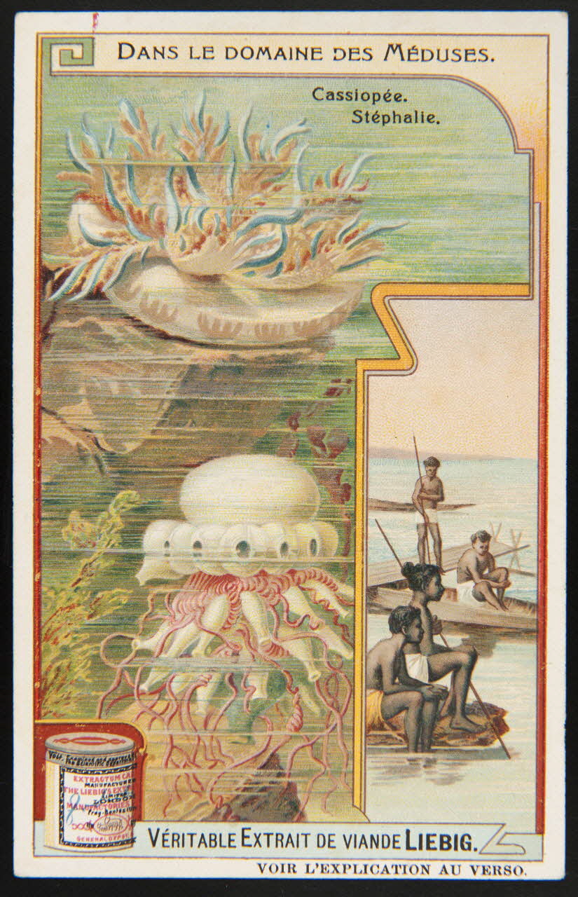 Liebig carte réclame chromo 1908 1995.1.2975.6 Photo