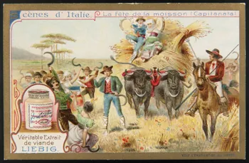 Liebig carte réclame chromo 1907 1995.1.2981.4  Photo