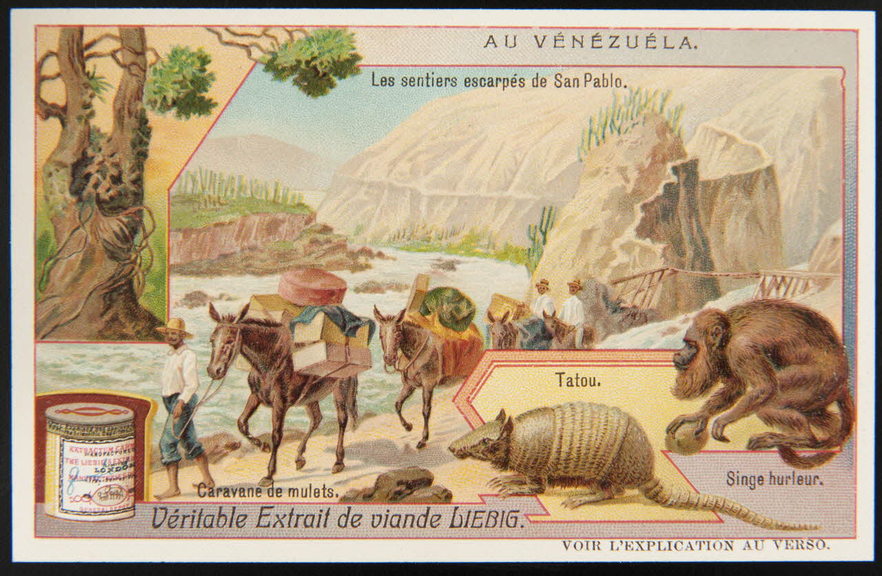 Liebig carte réclame chromo 1907 1995.1.2982.4 Photo