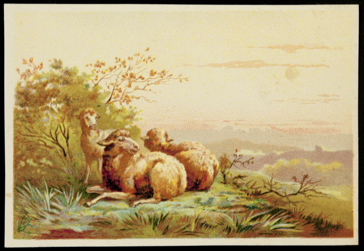 Bouillon-Rivoyre carte réclame chromo Paris 1877-1893 1995.1.3078.4 Photo