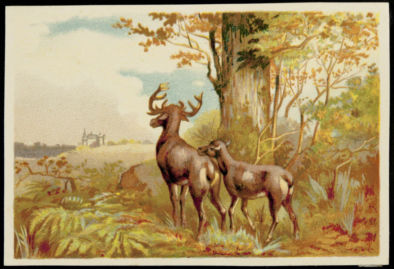 Bouillon-Rivoyre carte réclame chromo Paris 1877-1893 1995.1.3078.6 Photo