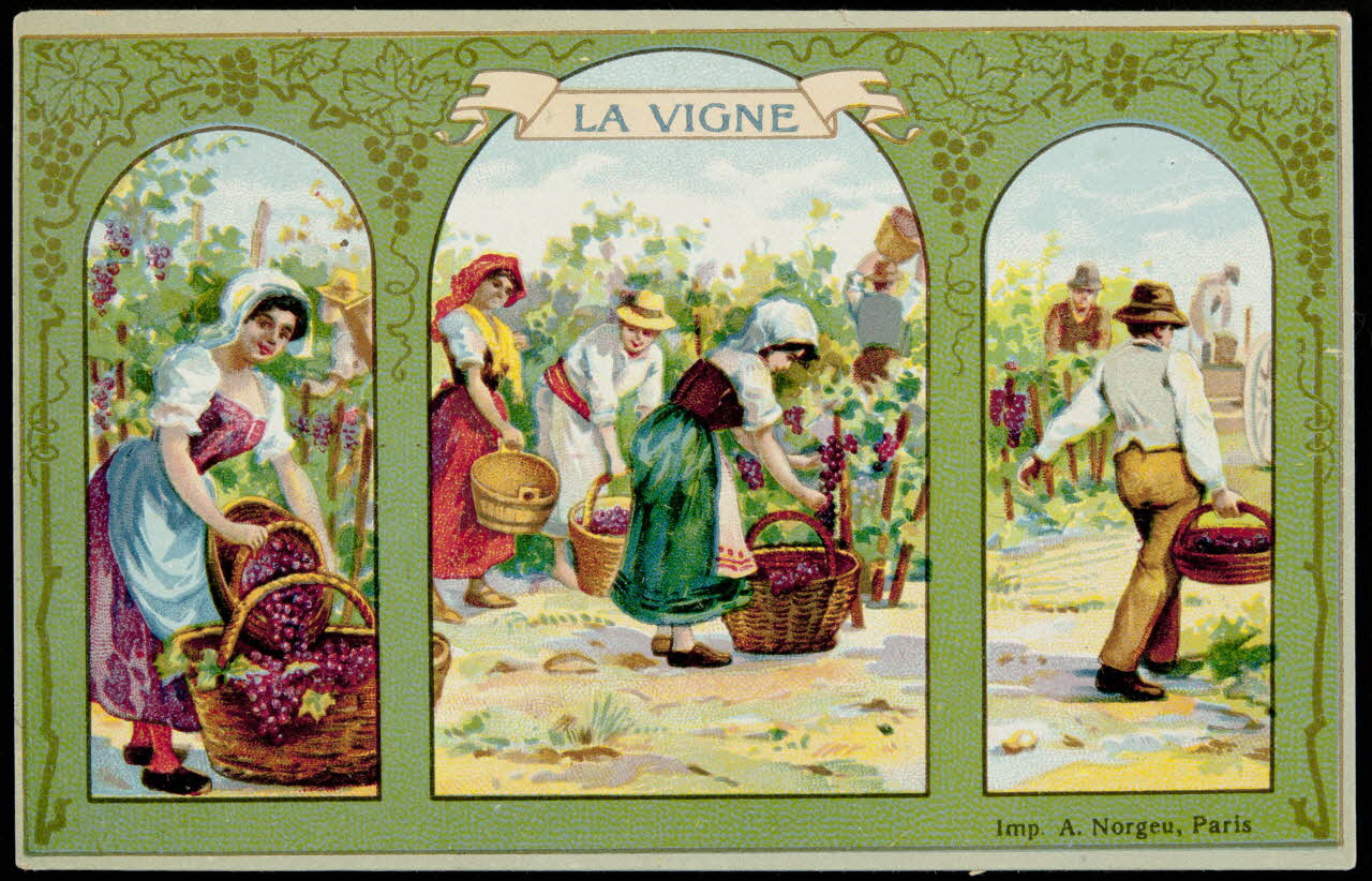 Bouillon-Rivoyre (éditeur), Norgeu A. carte réclame chromo Paris 1877-1893 1995.1.3084.5 Photo