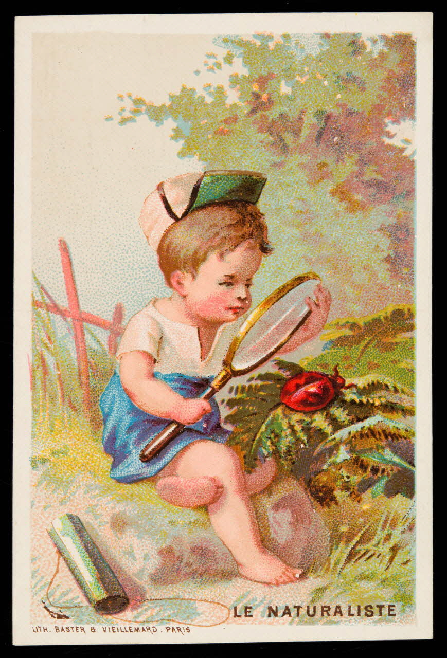 Baster & Vieillemard carte réclame chromo Paris 1878-1914 1995.1.3104.5 Photo