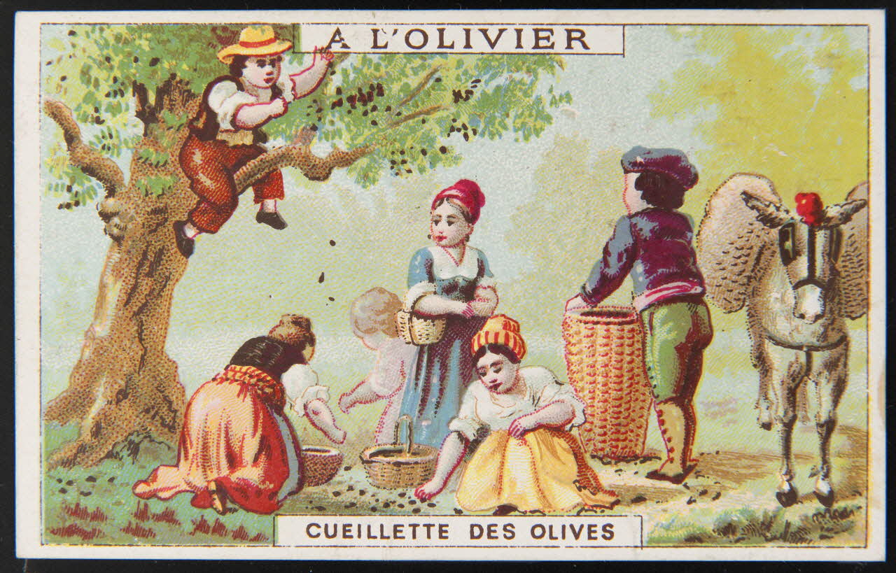 carte réclame chromo 1995.1.3276.1 Photo