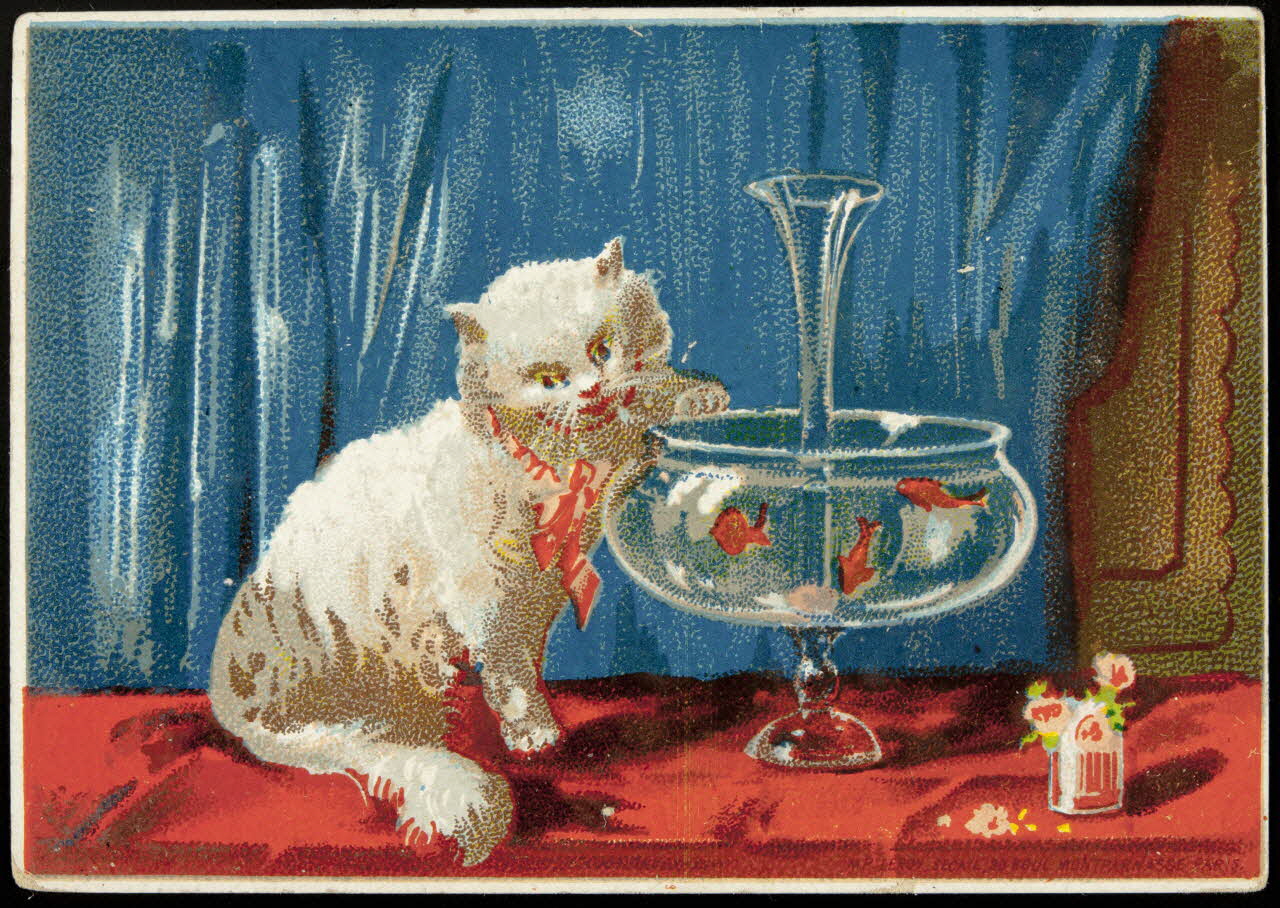 carte réclame chromo 1995.1.3362.1 Photo