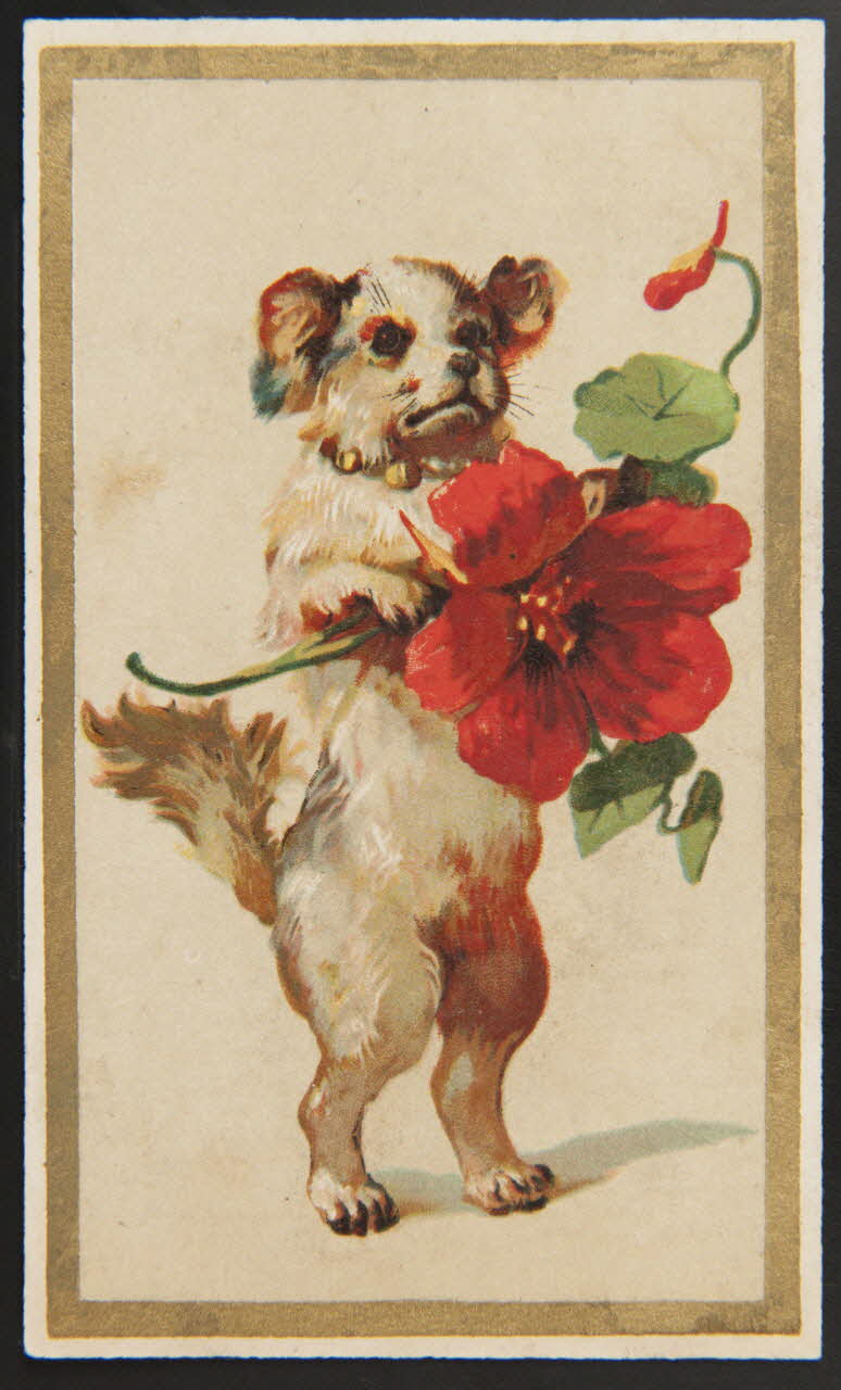 carte réclame chromo 1995.1.3407.1 Photo