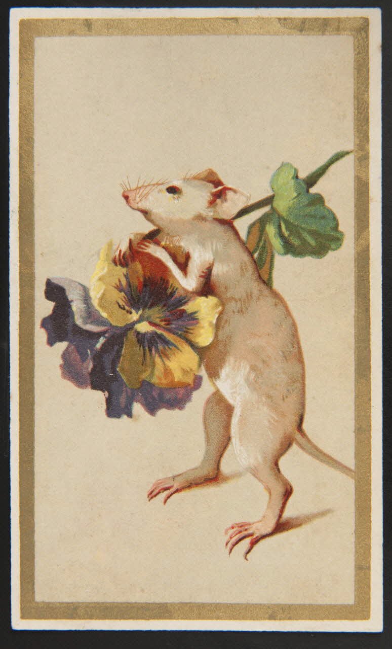 carte réclame chromo 1995.1.3407.2 Photo