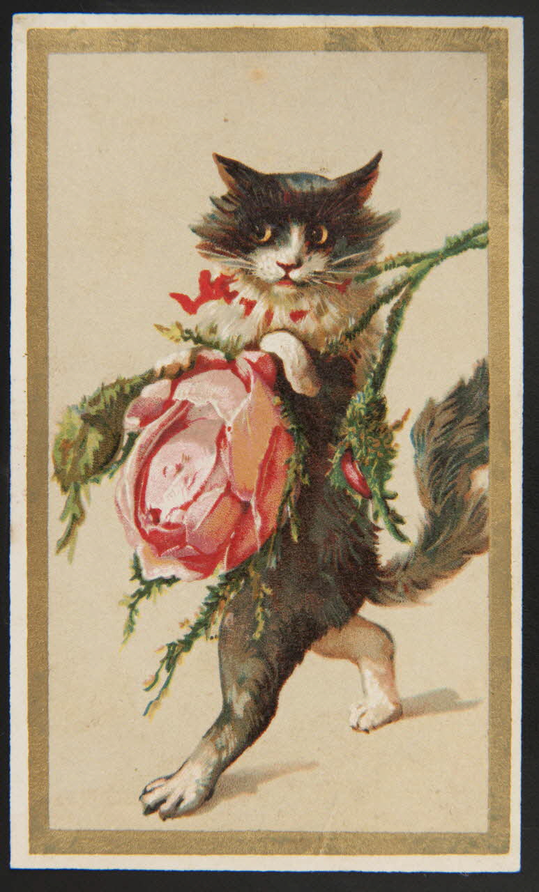 carte réclame chromo 1995.1.3407.4 Photo