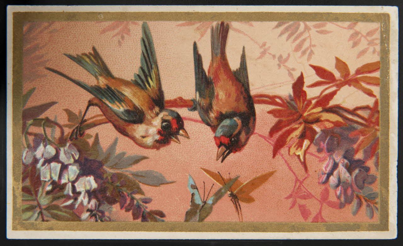 carte réclame chromo 1995.1.3420.4 Photo