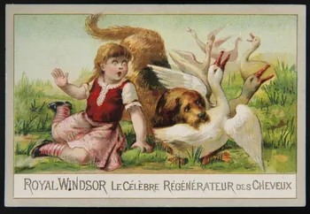 Gombert carte réclame chromo Paris 1890-1918 1995.1.3426.3 Photo