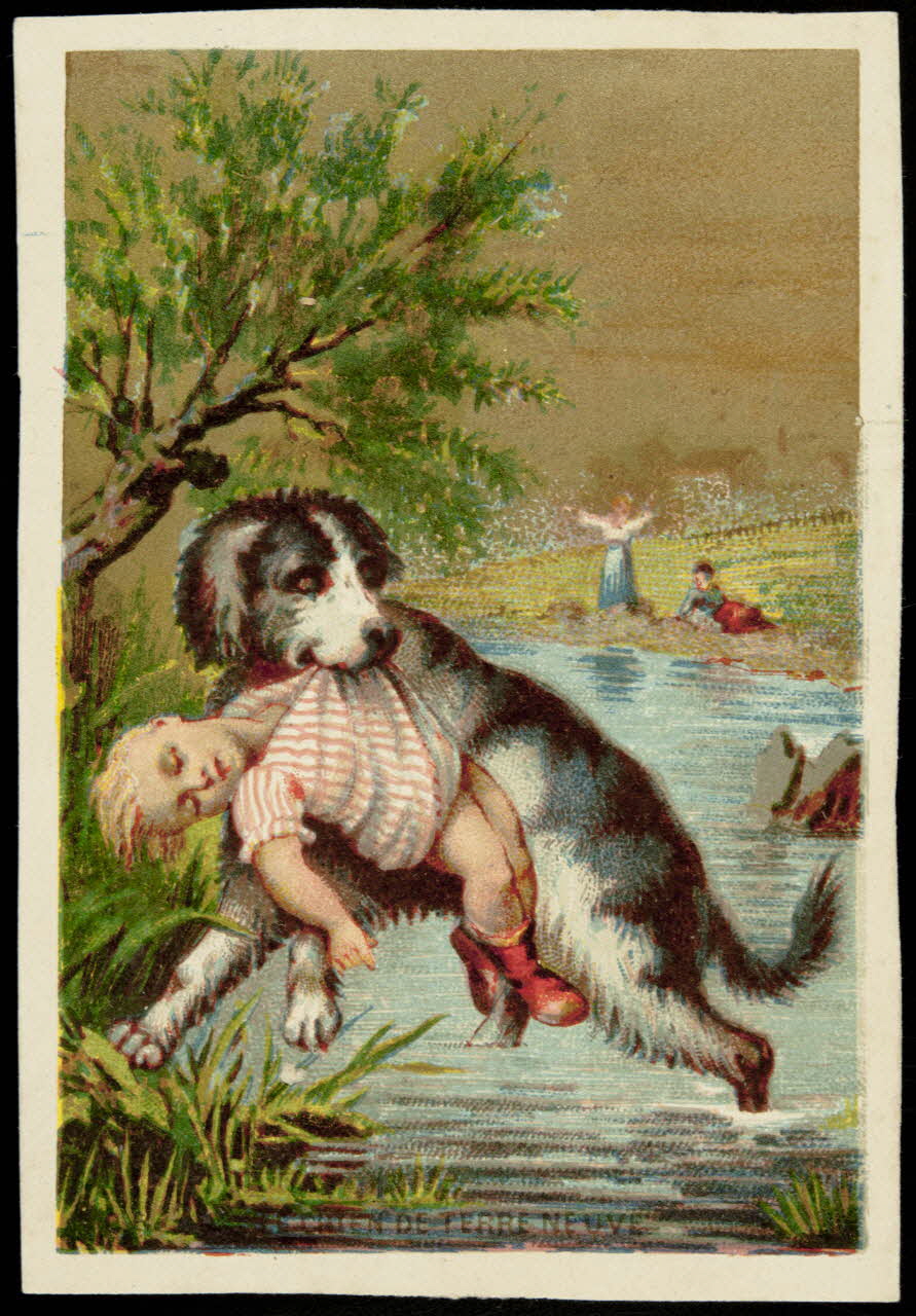 carte réclame chromo 1995.1.3496.2 Photo