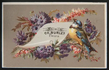 carte réclame chromo 1995.1.3504.2 Photo