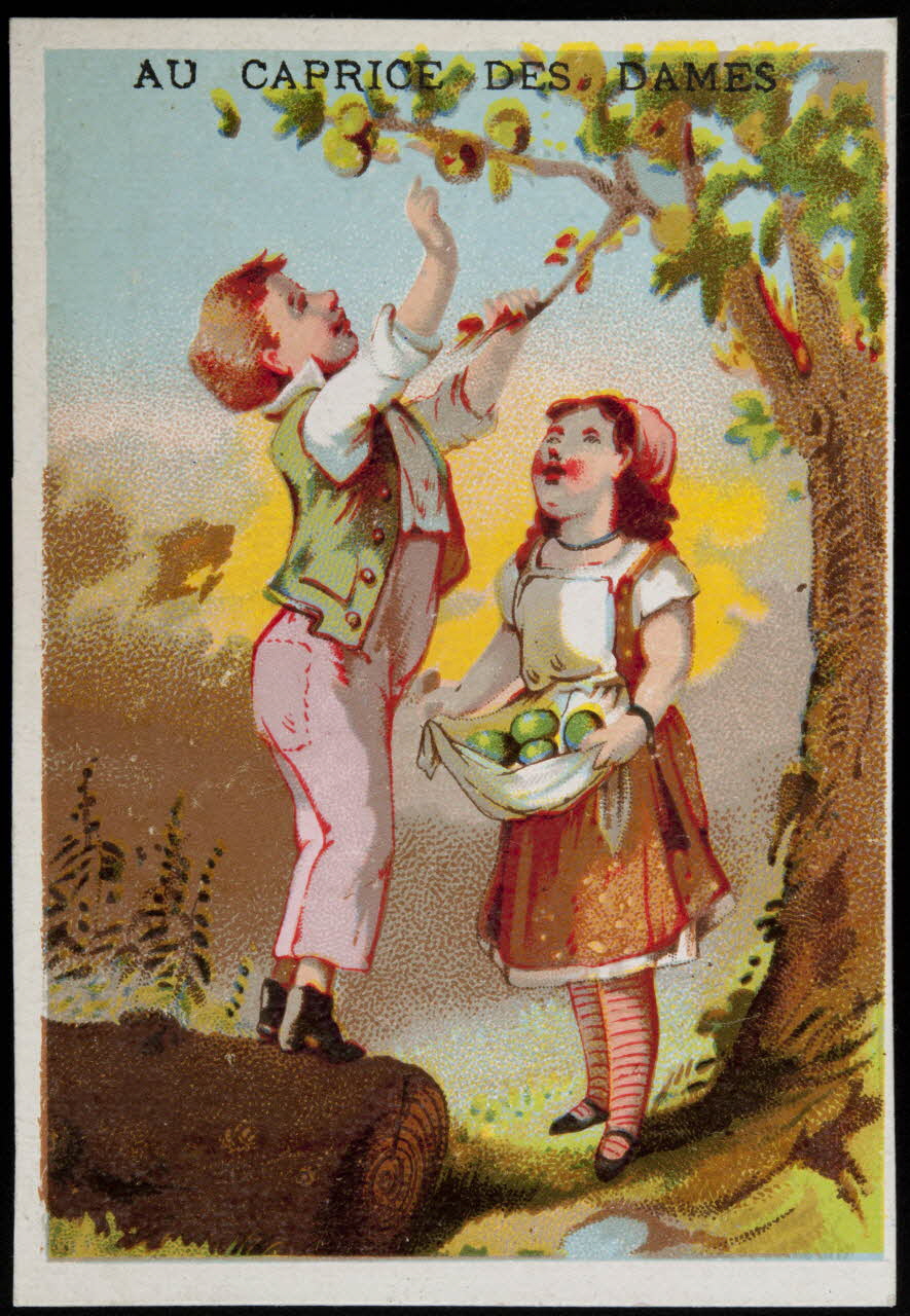 Danmanville et Daumas carte réclame chromo Paris 1870-1880 1995.1.3509.2 Photo