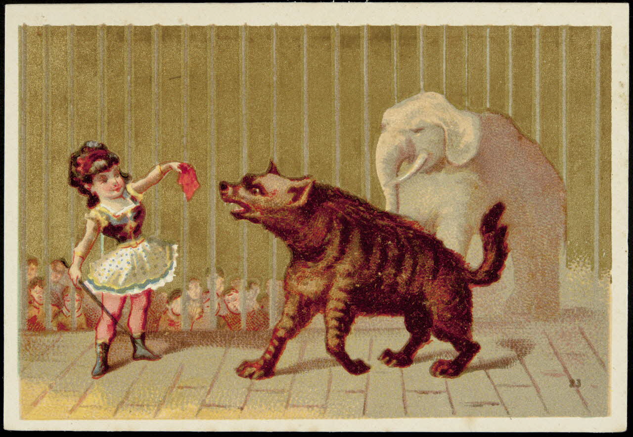 carte réclame chromo 1995.1.3608.4 Photo