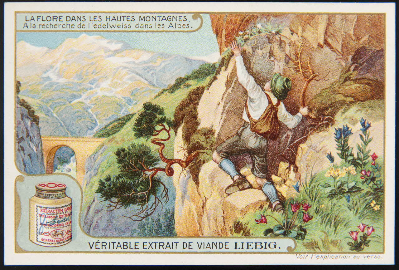 carte réclame chromo Paris 1908 1995.1.3670.1 Photo