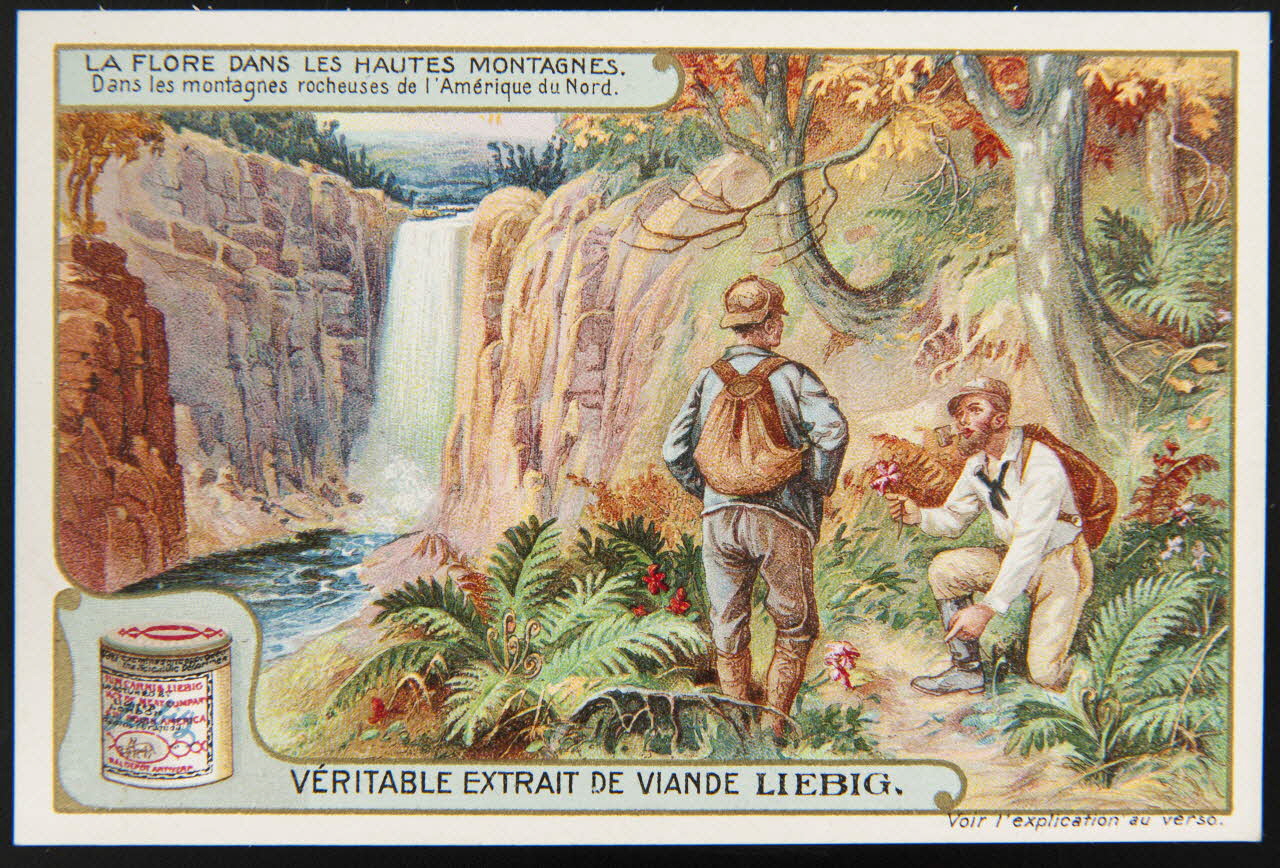 carte réclame chromo Paris 1908 1995.1.3670.3 Photo