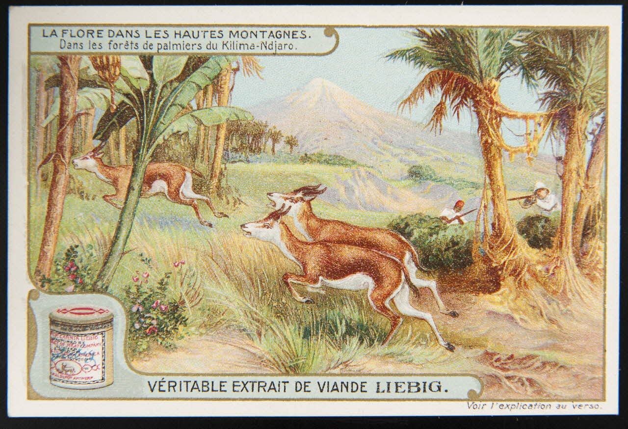 carte réclame chromo Paris 1908 1995.1.3670.6 Photo